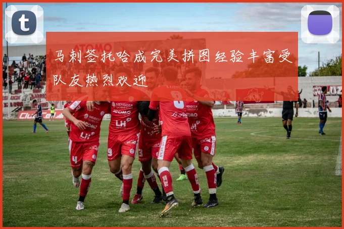 马刺签托哈成完美拼图经验丰富受队友热烈欢迎